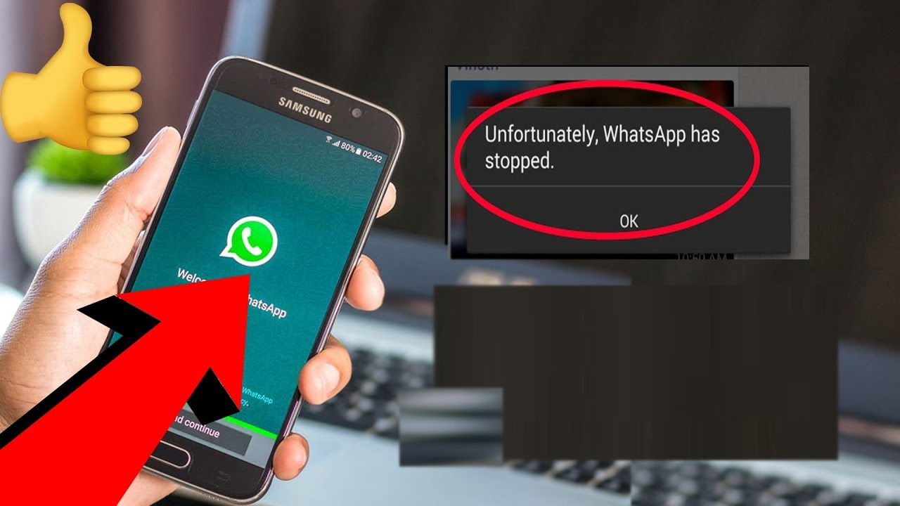 Correction de "Malheureusement, WhatsApp s'est arrêté" sur Android